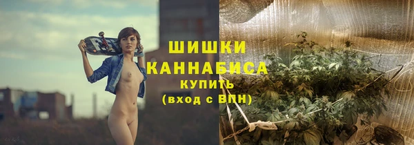 МДПВ Бронницы