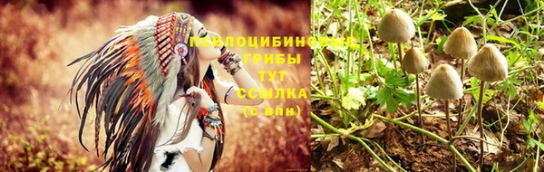 ALPHA PVP Бородино