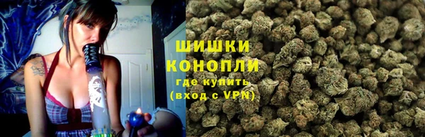 МДПВ Бронницы