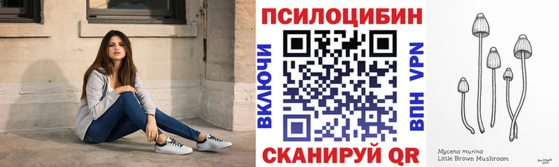 даркнет сайт  сайты даркнета официальный сайт  Псилоцибиновые грибы GOLDEN TEACHER  Видное 