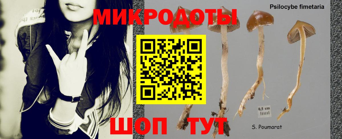 Галлюциногенные грибы Magic Shrooms  Вход с VPN  Видное  Псилоцибиновые грибы мицелий 