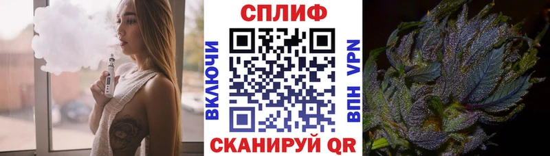Конопля сатива  цены   Видное 
